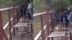 College Girl Sucking Cock On College Campus